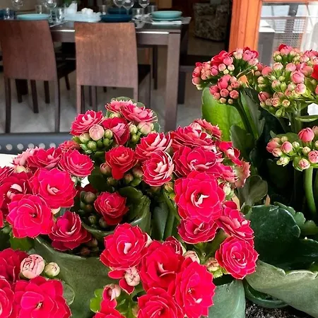 Apartmán A Casa Di Nonna Pescara