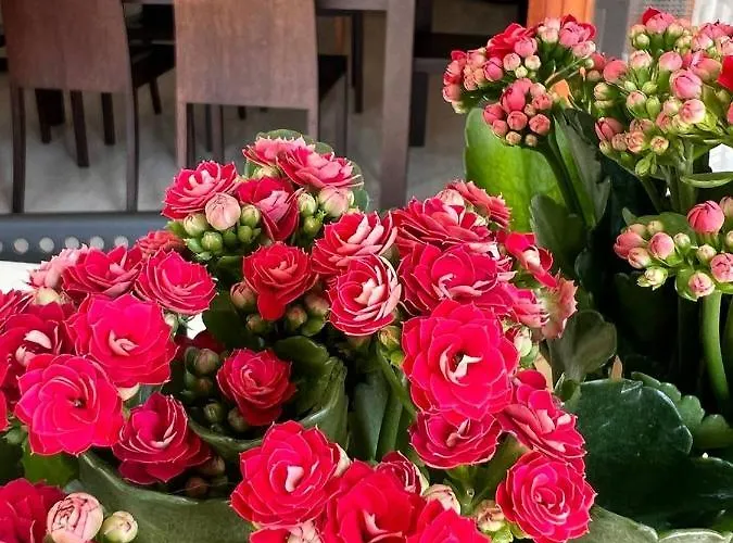 Lägenhet A Casa Di Nonna Pescara