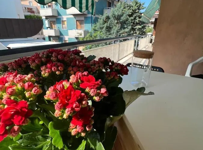 Appartement A Casa Di Nonna *